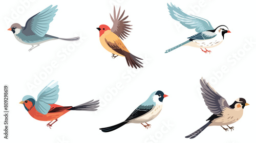 Set with different flying and sitting sparrow. Hand