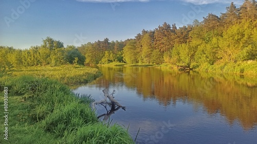 Landscape with river and trees photo