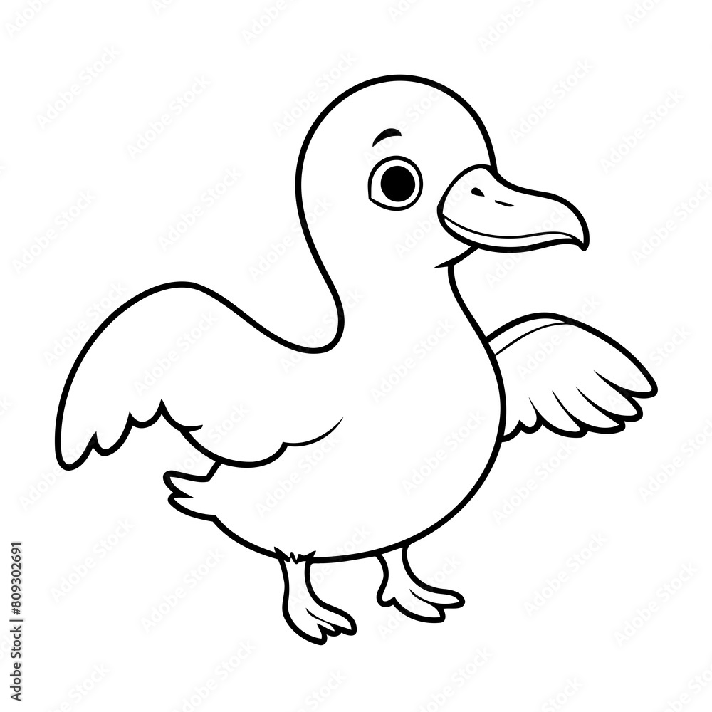 Simple vector illustration of Albatross drawing for kids colouring page Simple vector illustration of Albatross drawing for kids colouring page