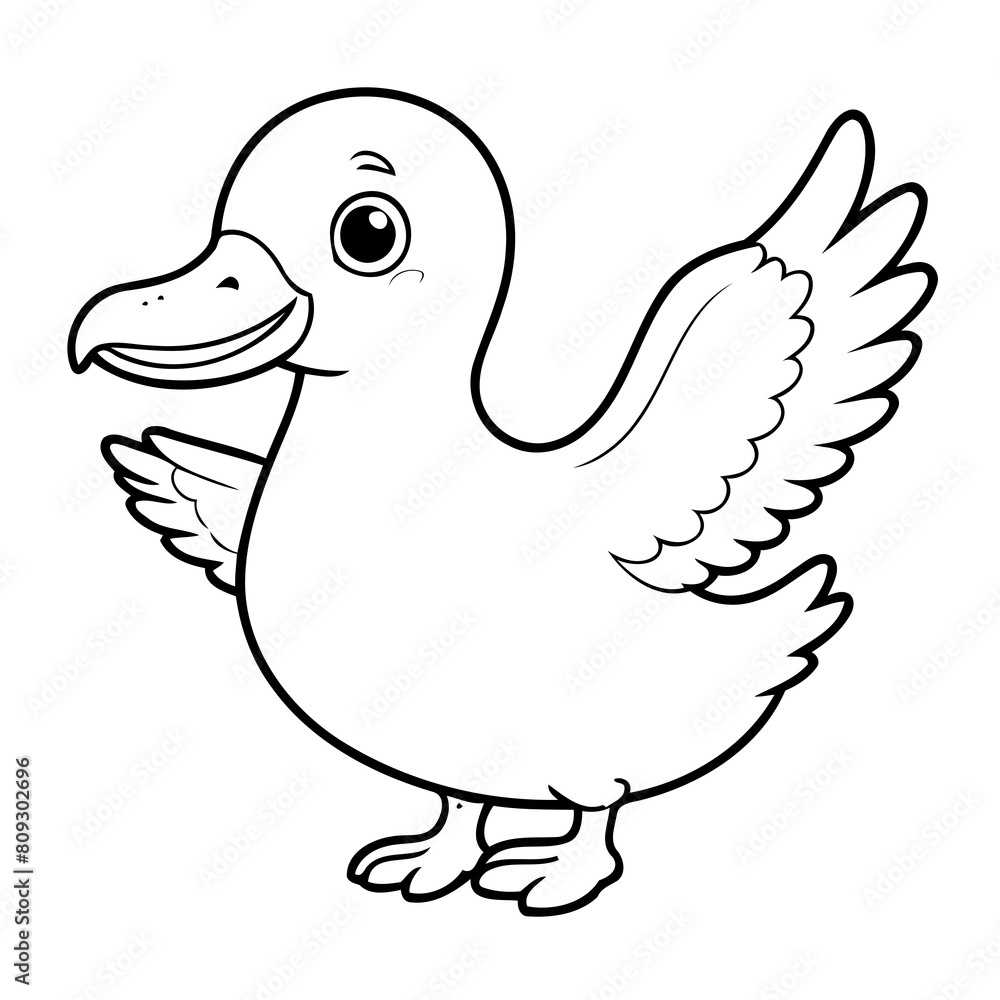 Cute vector illustration Albatross drawing for children page Cute vector illustration Albatross drawing for children page