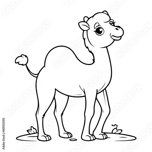 Cute vector illustration Camel drawing for toddlers coloring activity