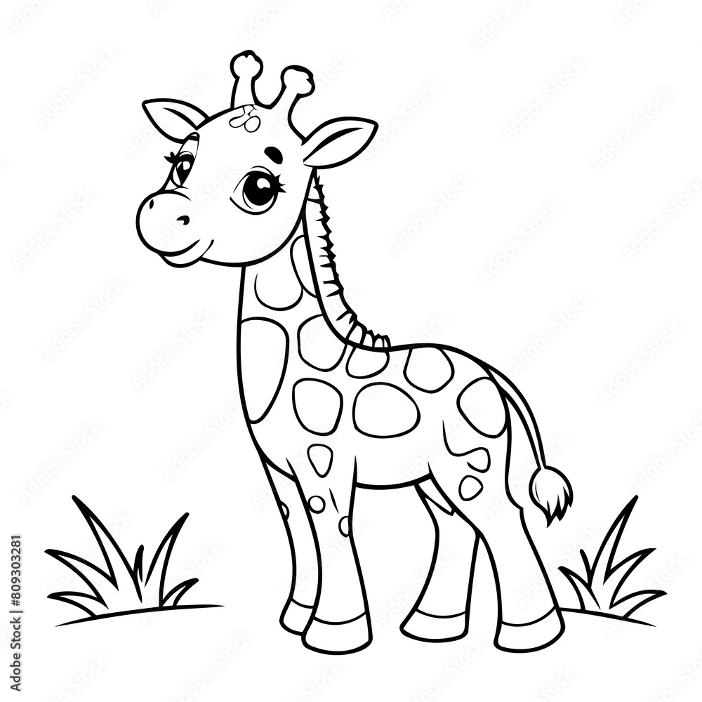 Fototapeta premium Cute vector illustration Giraffe drawing for kids colouring page