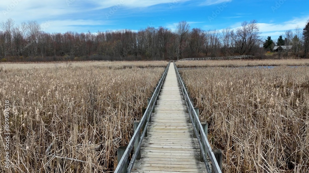 Fototapeta premium Famous Park near Ottawa called Mer Bleue Bog with swamps and muddy areas beautiful nature of Canada - travel photography by drone