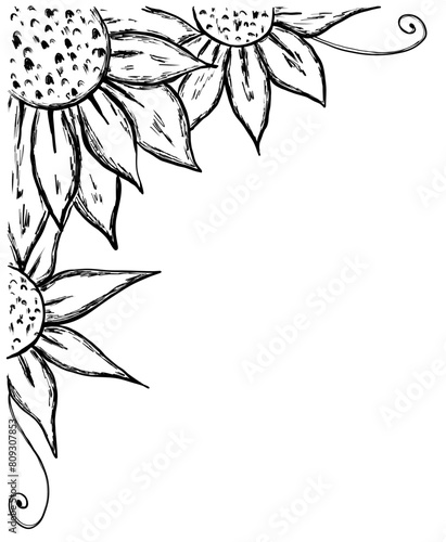 Corner divider with sunflower blossom and leaves in sketch style