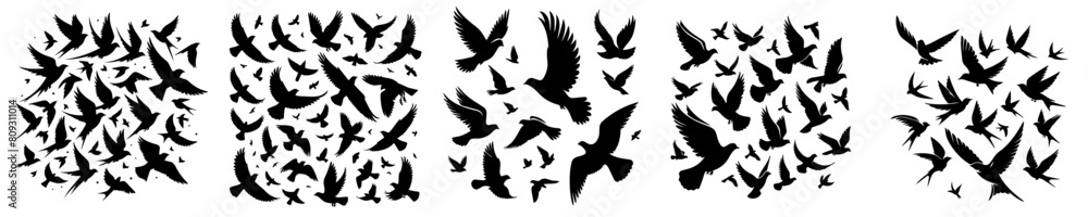 vector set of flying bird silhouettes