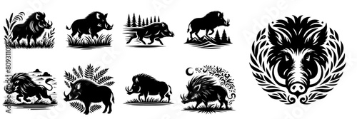 vector set of wild boar silhouettes photo