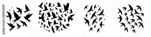 vector set of flying bird silhouettes
