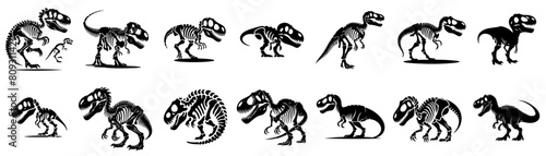 vector set of dinosaur skull silhouettes © arifinzainal1728