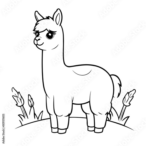 Vector illustration of a cute Llama drawing for kids colouring page © meastudios