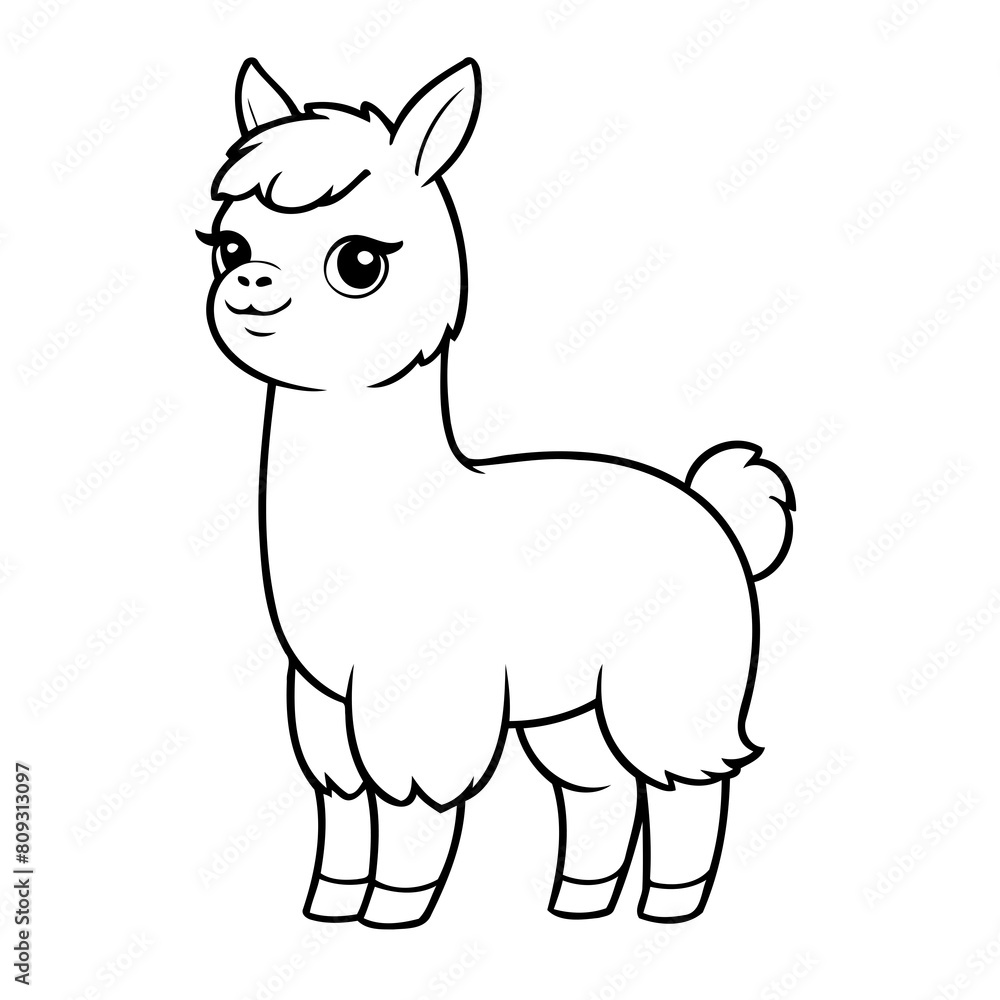 Simple vector illustration of Llama hand drawn for kids coloring page Simple vector illustration of Llama hand drawn for kids coloring page