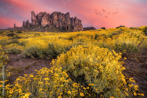 Superstition Mountain Spring