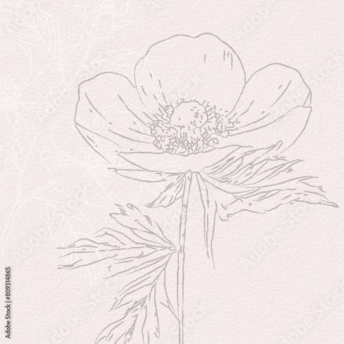 Anemone Flowers Delicate watercolor botanical digital paper