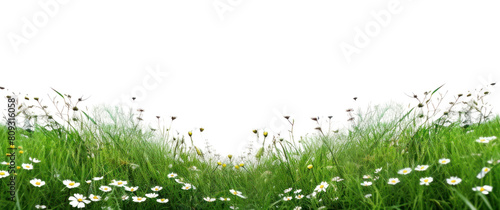 Wallpaper Mural PNG Meadow hills landscape nature backgrounds. Torontodigital.ca