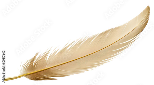 PNG  Quill white background lightweight accessories.