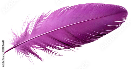 PNG  Feather purple white background lightweight.