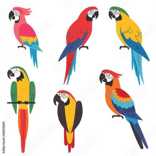 Six colorful parrots perched, distinctive feathers poses. Vibrant tropical birds, parrot collection portrays different species, plumage hues. Cartoon style parrots, ornithology theme, avian