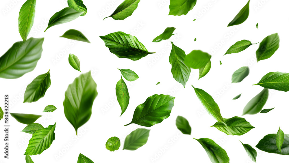 AI fekvő - 1Green Floating Leaves Flying Leaves Green Leaf Dancing isolated on transparent background. Flying whirl green leaves in the air, Healthy products by organic natural ingredients concept AI fekvő - 1Green Floating Leaves Flying Leaves Green Leaf Dancing isolated on transparent background. Flying whirl green leaves in the air, Healthy products by organic natural ingredients concept