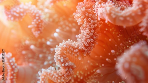 Organic Texture of Hard Coral  Abstract Background in Coral Color