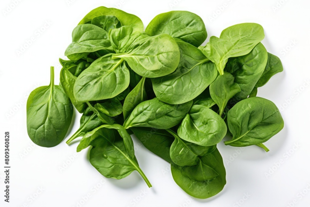 Fresh spinach leaves. Isolated on white background Fresh spinach leaves. Isolated on white background