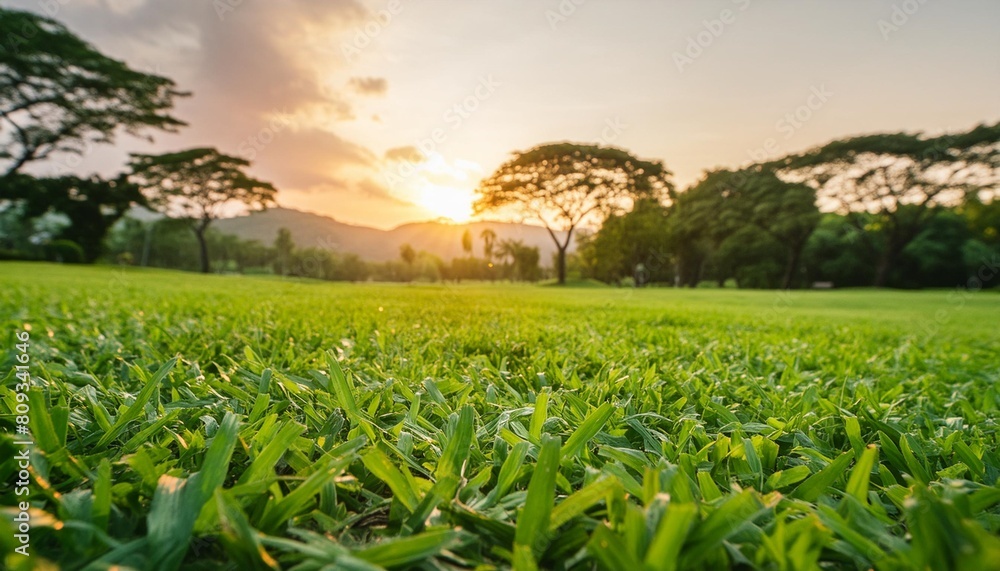 green grass with sunset views
