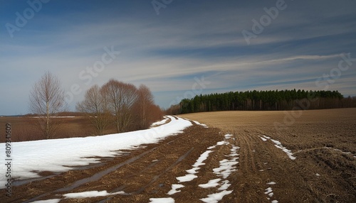 spring field with snow residue