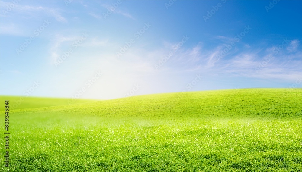 sunny spring meadow blur background blue sky to green grass gradient