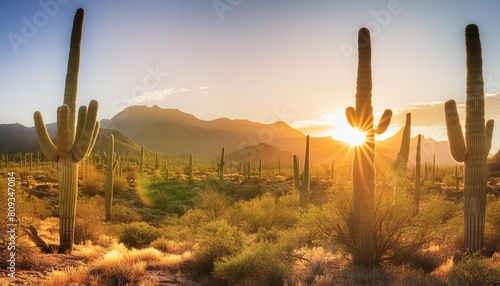 scenic view of saguaro national park during sunrise in landscape comic style giant cactus digital illustration generative ai
