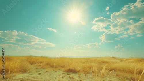 Sunny day over dry grass field with clear blue sky and sun shining brightly