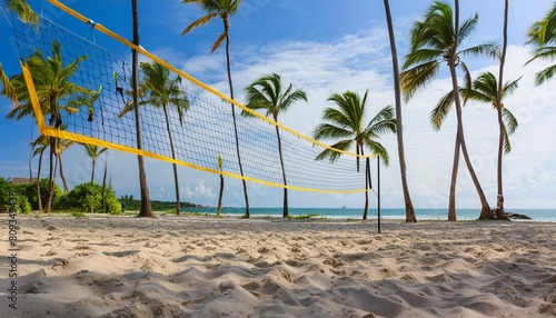 tropical beach volleyball scene with net sand and palm trees in background