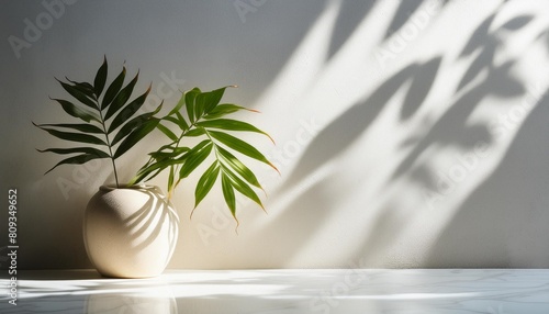 fondo de suelo y pared vacios iluminados por luz del sol y sombras de plantas fondo para presentacion de productos