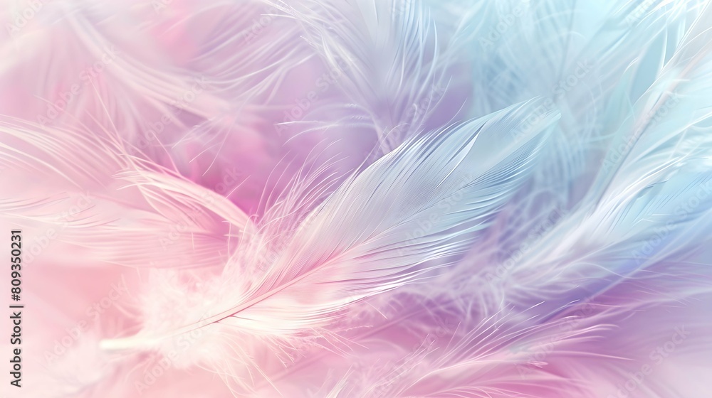 pastel colour feather abstract background