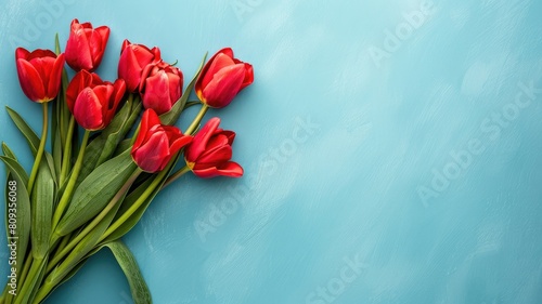 Bright red tulips arranged diagonally on blue background