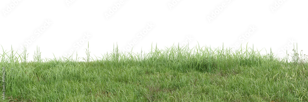 Fototapeta premium Green grass on transparent background 3d rendering