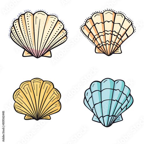 Seashell collection features various colorful scallop shells. Set sea shells different color schemes, handdrawn style. Cartoon scallop seashells isolated white background marine themes