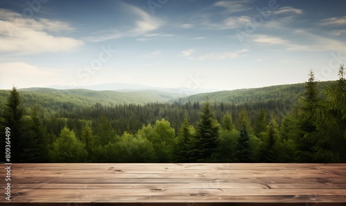Empty wooden table for product display montages with forest in background. photo