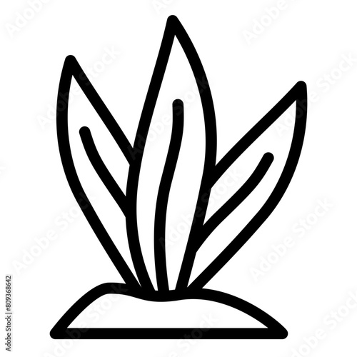 seaweed icon 