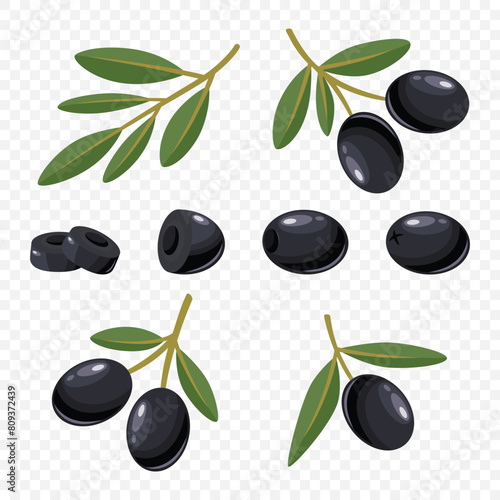 Flat Vector Black Olives and Branch Set. Hand Drawn Olive Tree Berry and Branch Clipart. Olive Twig with Leaves. Design Template for Olive Oil Products, Packaging, Food Concept