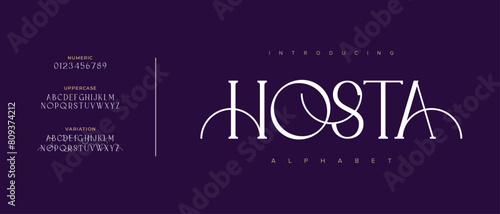 Hosta elegant font alphabet uppercase lowercase and number. Classic lettering minimal fashion designs. Typography modern serif fonts regular decorative vintage concept. Vector illustration
