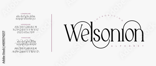 Welson elegant font alphabet uppercase lowercase and number. Classic lettering minimal fashion designs. Typography modern serif fonts regular decorative vintage concept. Vector illustration