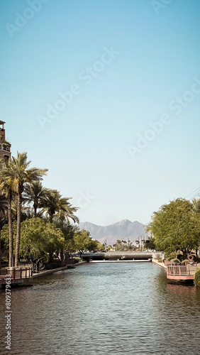 Scottsdale AZ landscape