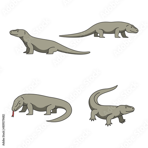 Komodo dragon illustrations