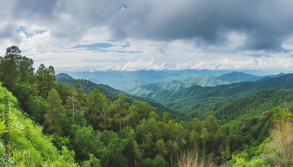 panoramic view of wooded mountains hills and forest dramatic wall green tree forest in fog and blue sky with low gray clouds for creative background back to nature concept banner copy space