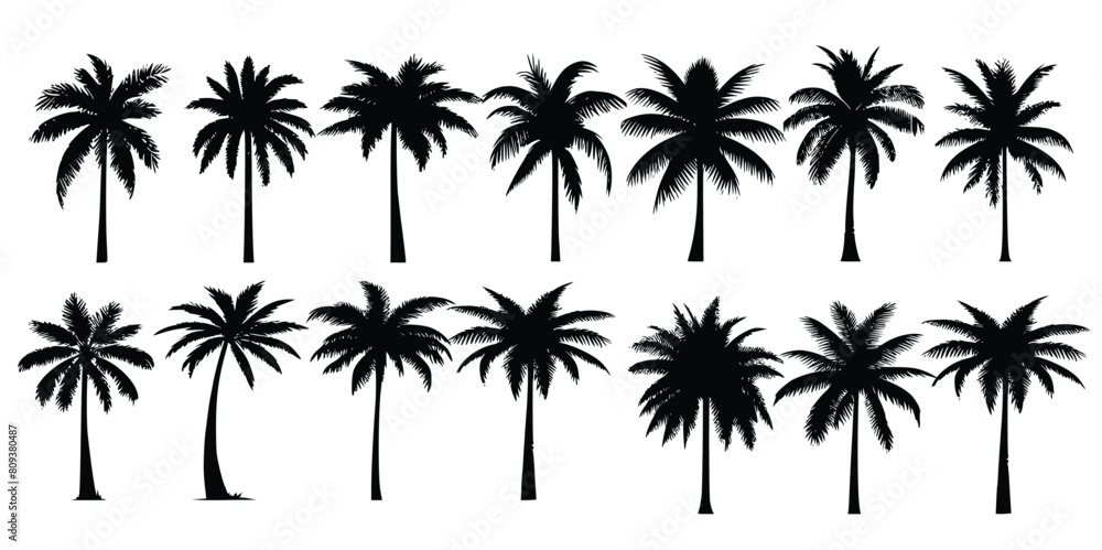 Set of vector black silhouettes of palm trees isolated on a white background.