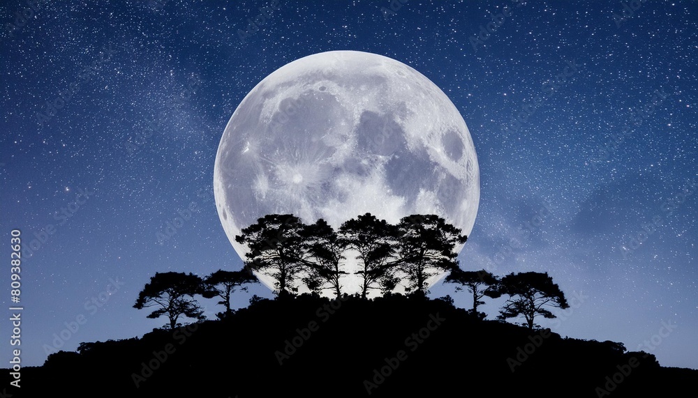 illustration depicting a night landscape with large moon starry sky and silhouttes of trees
