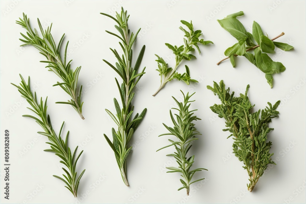 Obraz premium thyme, mediterranean, cuisine, herb, ingredient, cooking, food, aromatic, flavoring, herb bunch, fresh thyme, culinary