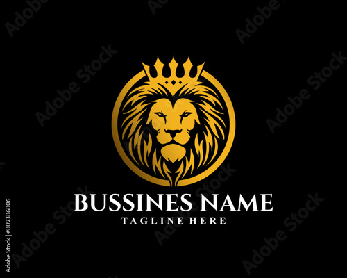 lion logo design