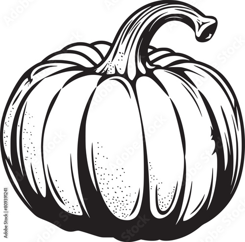 Pumpkin vector black and white