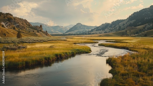 Against the backdrop of towering mountains and sprawling meadows, the East Fork River in Wyoming flows with a sense of timeless grace, carving its way through the rugged landscape. © kaitanan
