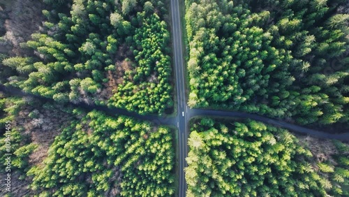 Elevated drone view of a vibrant green forest and serpentine roads with occasional traffic, depicting peaceful escapes and natural landscapes. Ideal for environmental visuals. 4K footage.  photo