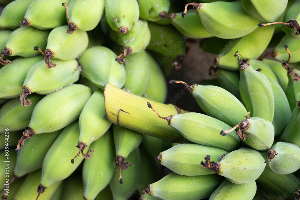 Bunch of ripe green bananas on the market. Selective focus. Bunch of ripe green bananas on the market. Selective focus.